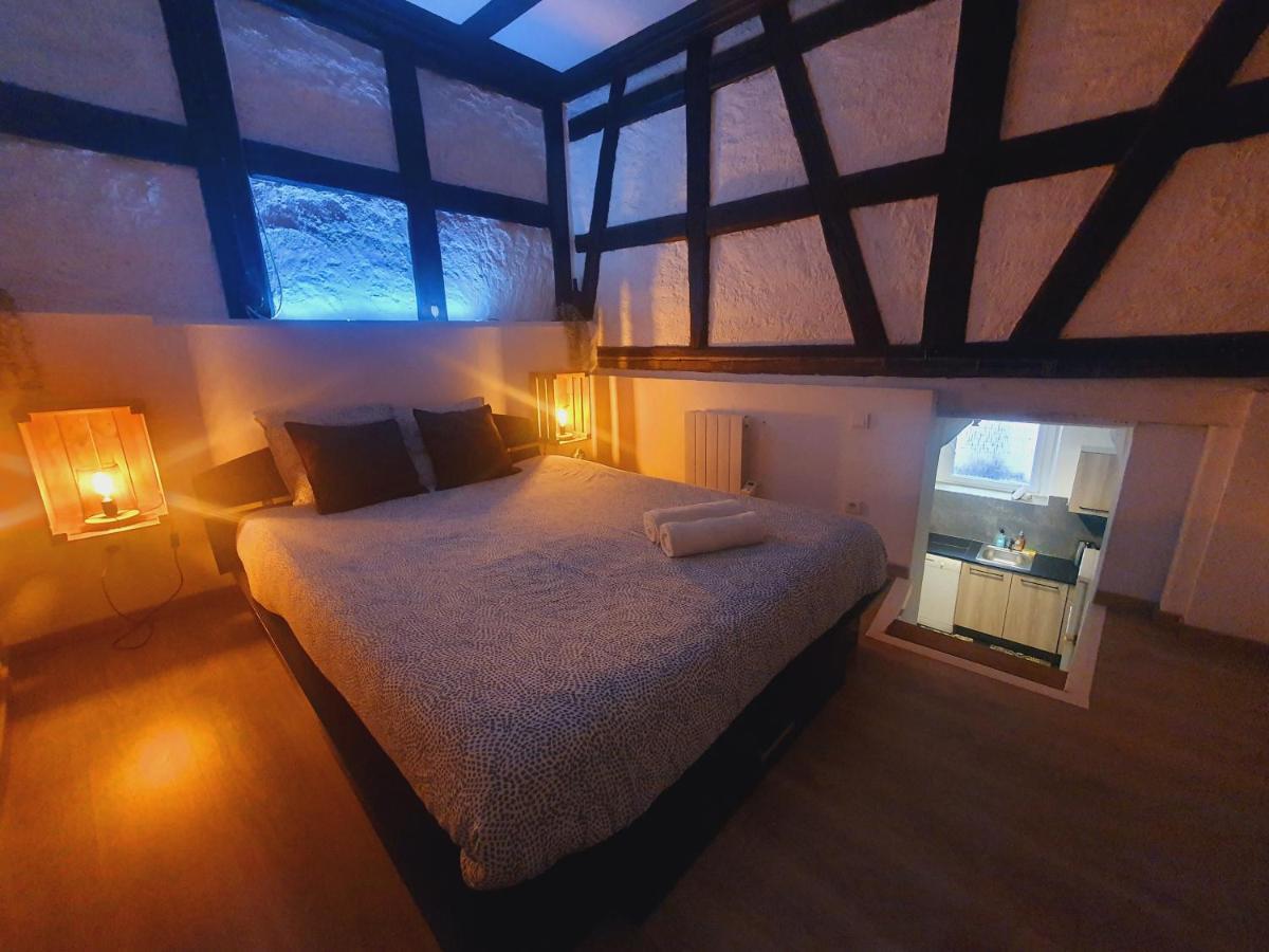 Appartement Aux Plaisirs d'Alsace Centre Historique à Sélestat Extérieur photo